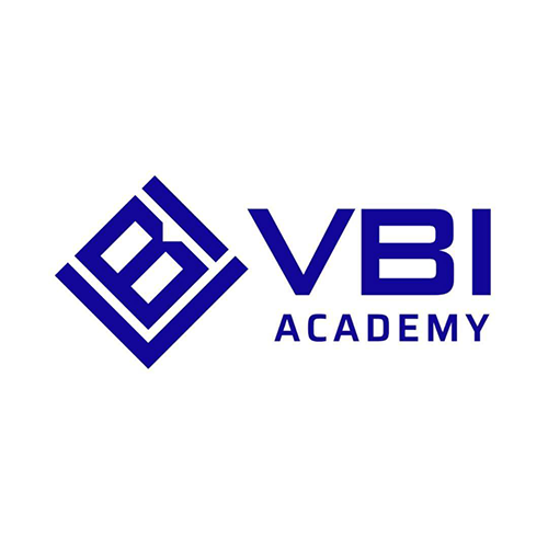 VBI Academy logo